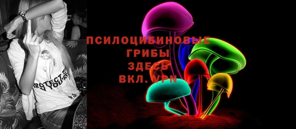 сатива Алзамай