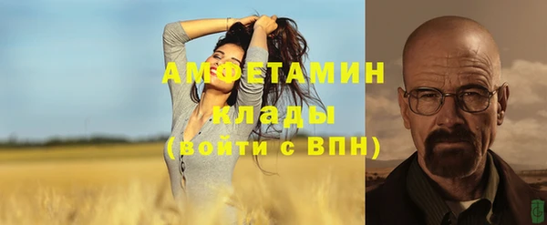 сатива Алзамай