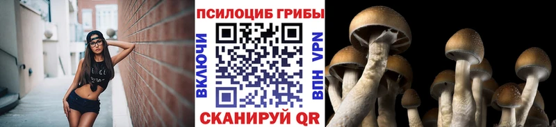 МЕГА рабочий сайт Томмот Псилоцибиновые грибы Psilocybine cubensis